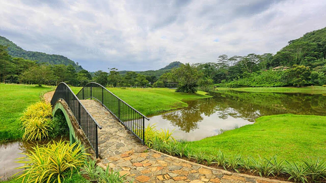 Seethawaka Wet Zone Botanical Garden