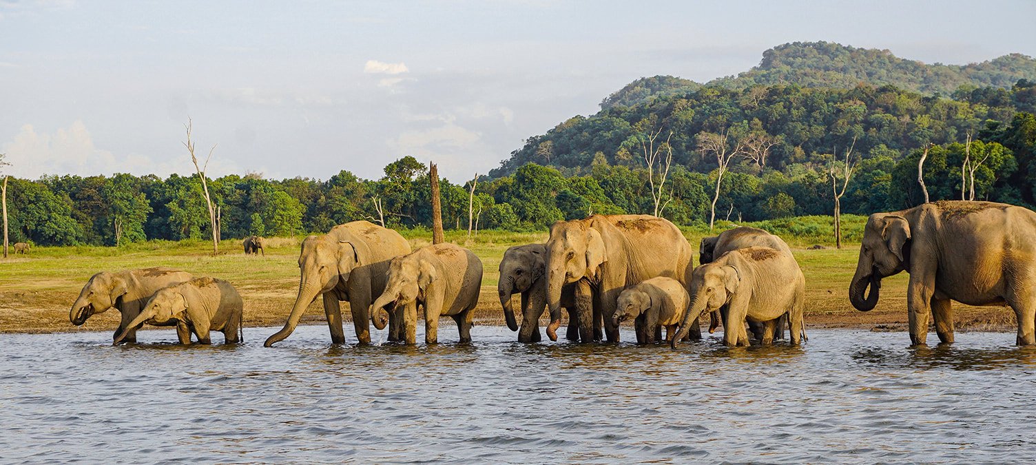 Gal Oya National Park