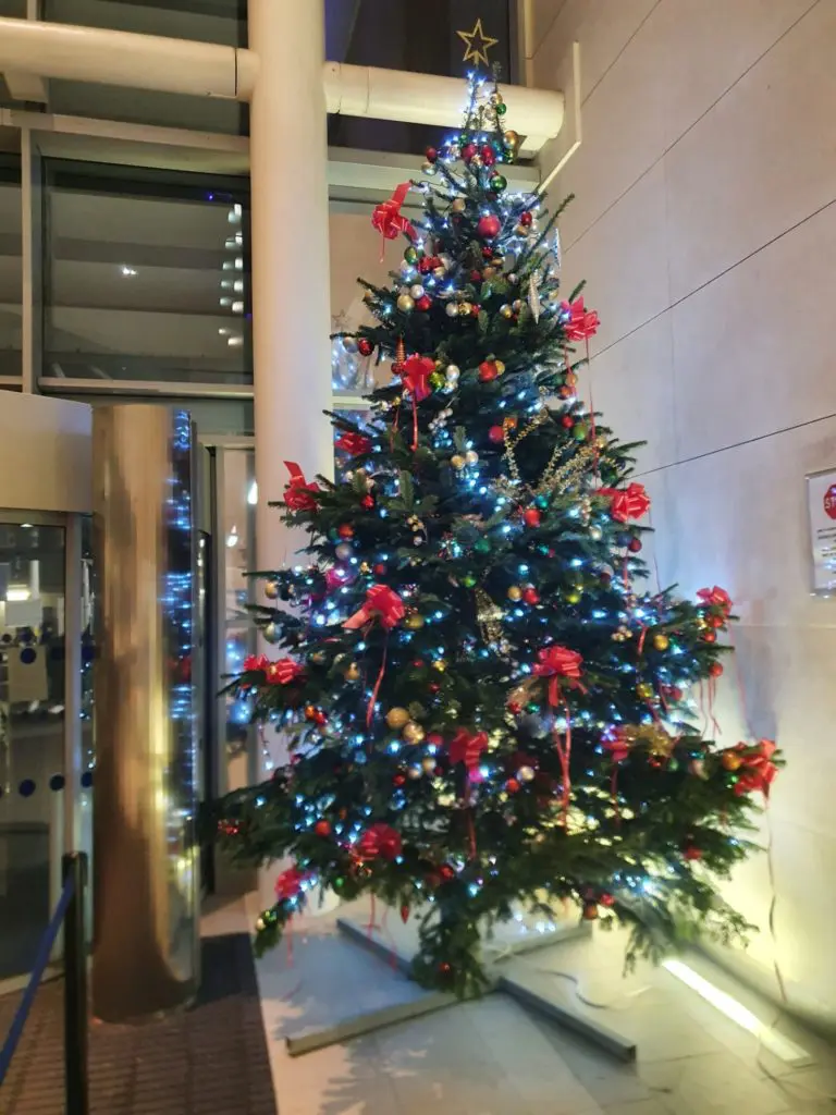 Christmas Celebrations