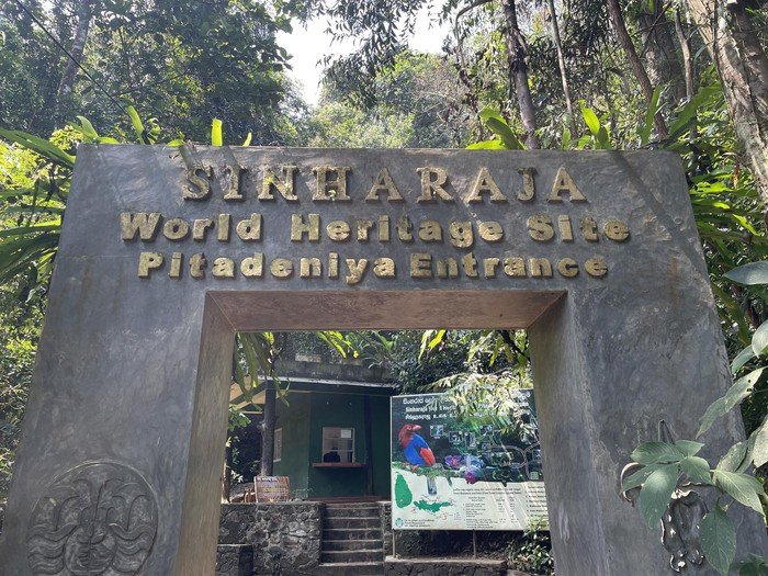 Sinharaja Rainforest