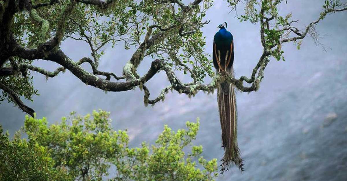 Nature & Eco-Tourism