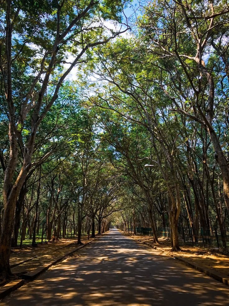 Kataragama sacred town