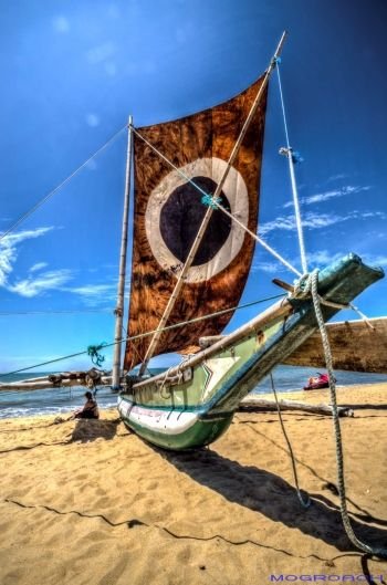 Bildergalerie von Negombo